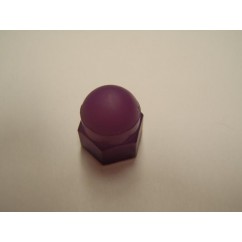 acorn-nut-purple